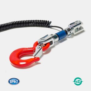 Serie ZW1 sensore a gancio per alti carichi